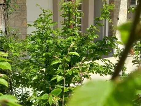 Oustal del Riu - Aubrac