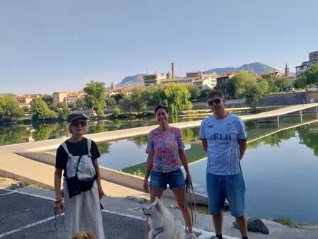 Visite Millau avec ton chien !