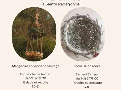Atelier : Corbeille en vannerie de ronce