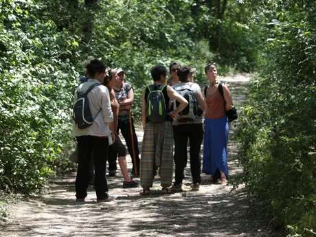 Besoin de Nature  (Groupes)