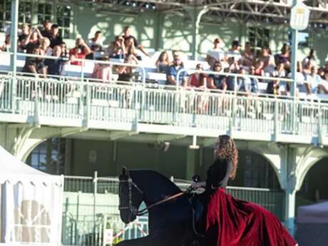 500 ANS CLOCHER CATHÉDRALE - Spectacles équestres par la compagnie A Volo Contrario