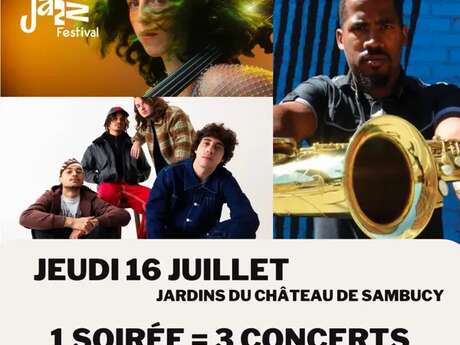 MILLAU JAZZ FESTIVAL | Soirée du Jeudi 16 juillet | 19H00 | 1 Soirée = 3 Concerts : Louise Knobil Trio (19h) + AMG (21h) + James Brandon Lewis Quartet (22h30)