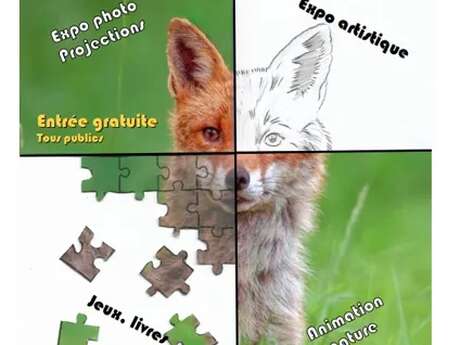 4ème édition du Festival des Veilleurs de Nature