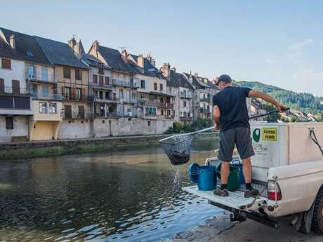 Lâchers de truites - Plan d'eau d'Istournet