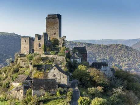 Visite guidée du Château de Valon