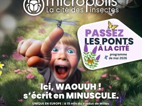 Visite guidée Maison Natale JH FABRE - Micropolis