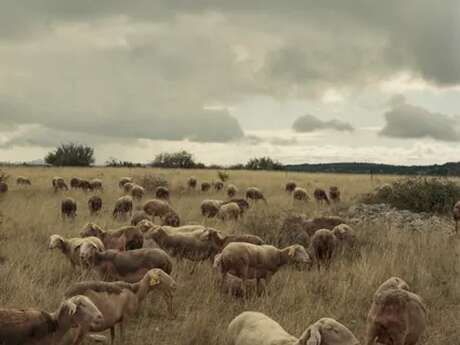 Exposition photo "droit de parcours "