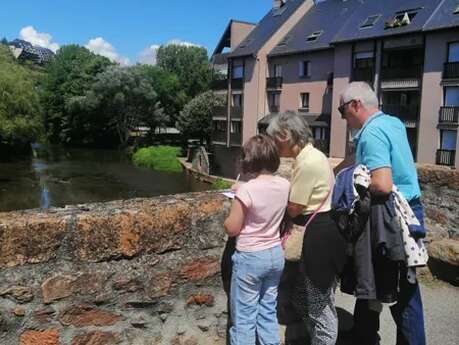 Les saisons de la biodiversité - Sauvage de ma rue