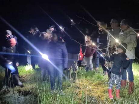Les saisons de la biodiversité - Balade nocturne