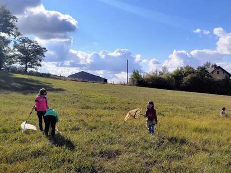 Les saisons de la biodiversité - La nature a des ailes