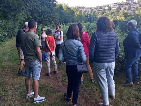 Les saisons de la biodiversité - Arbres et haies : comprendre et agir