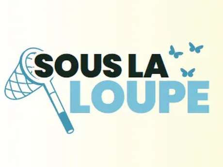 "Sous la loupe" - Micropolis