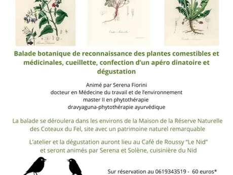Balade botanique
