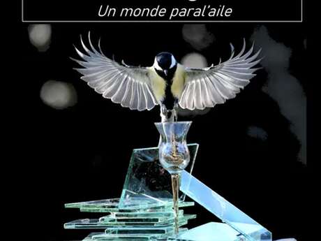 Exposition de photographies