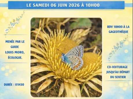 Les papillons du Causse : Randonnée "Natura 2000"