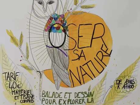 Balade et dessin pour explorer la nature