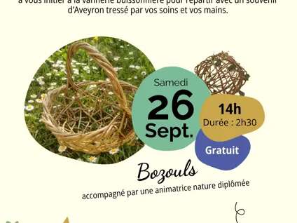 Vannerie sauvage et aléatoire - ENS de Bozouls