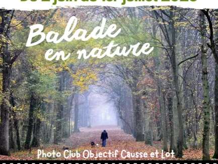 Exposition de photographies - Photo Club