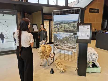 Le Larzac vivant : transhumance, savoir-faire et villages templiers