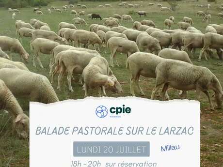 Nouveauté 2026 - " Balade pastorale sur le Larzac " avec le CPIE