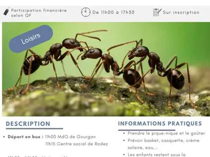 Micropolis - La cité des insectes