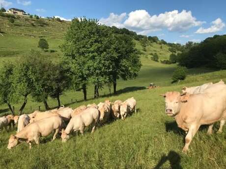 Visite de la Ferme de Gandalou