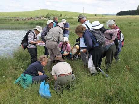 Sortie naturaliste et géologique par Sciences Nath' en Aubrac du canyon de Bozouls