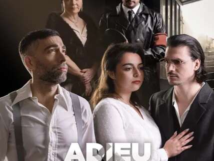 Théâtre : ADIEU MONSIEUR HAFFMANN
