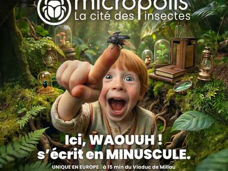 Micropolis - l'agenda de l'été 2026