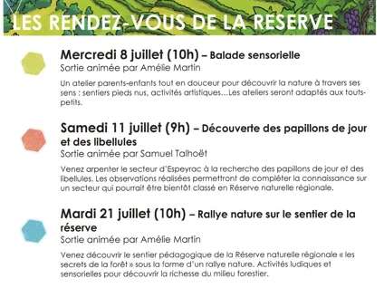 Randonnée pour découvrir la Réserve Naturelle