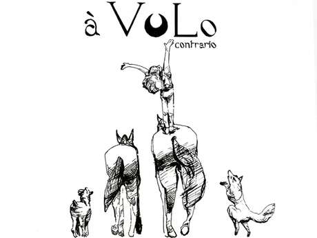 Spectacle équestre " En aparté"  au Domaine de Combelles