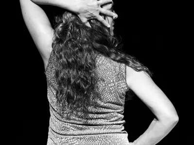 Spectacle "Croire aux fauves"