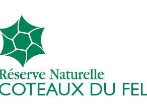 RDV Nature de la LPO : Que devient une forêt à l'automne ?