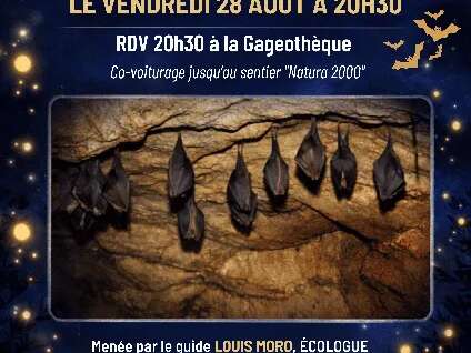 Randonnée "Natura 2000" - Les chauves souris