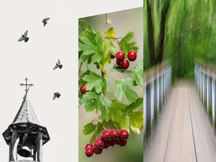 Exposition - Photoréflexes