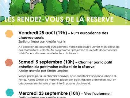 Vive l'automne !