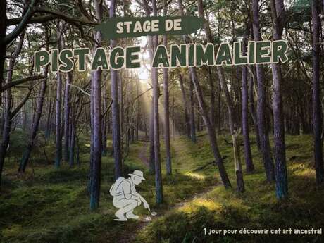 Stage - Pistage Animalier - Adultes
