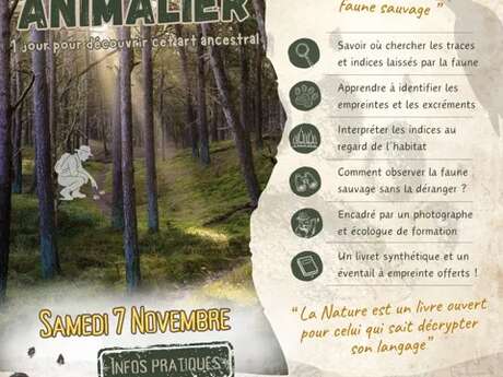 Stage - Pistage Animalier - Adultes