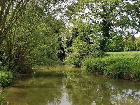 Les Rendez-vous Nature - Qu'est il SENSÉE vivre ici ?