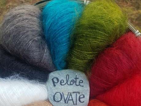 Les Laines de Belle Isle