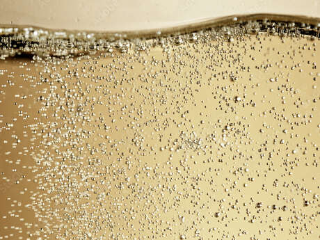 Champagne wine tasting course