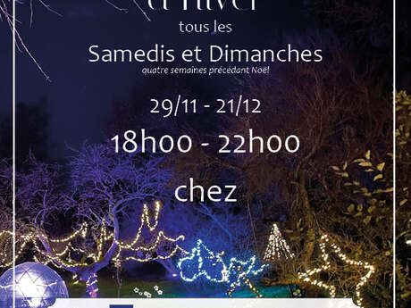 Nuits des lumières d'hiver