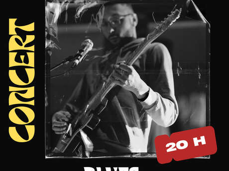 Concert BLUES BRAKER