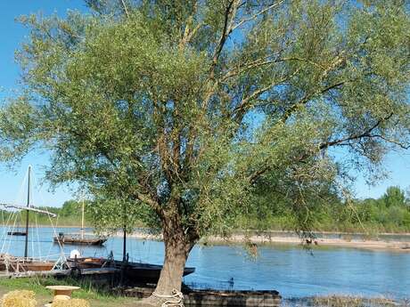 Entre Loire et Coteau