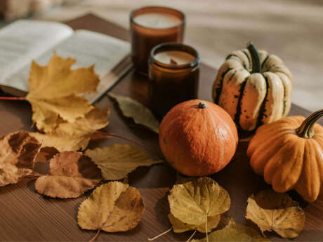 Événement Nature & Vous - Décoration zéro déchet d'automne