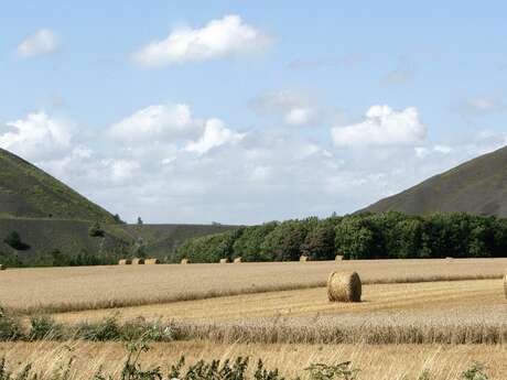 Visite running spéciale Art déco