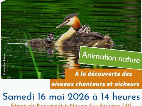À la découverte des oiseaux  chanteurs et nicheurs