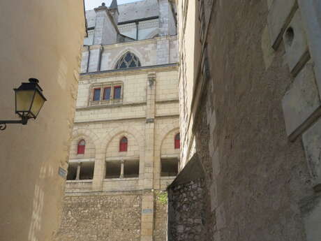Visite guidée de la ville de Blois