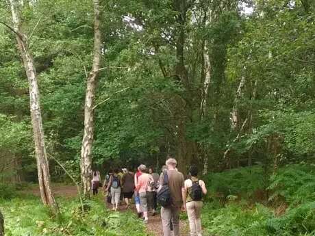 Conservatoire d'Espaces Naturels des Hauts de France - Rando racontée sur les Terrils de l'Escarpelle et des Paturelles