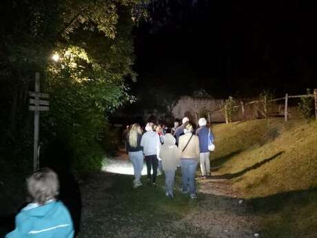 Conservatoire d'Espaces Naturels des Hauts de France - Les Belles de nuit des terrils de l'Escarpelle et des Pâturelles